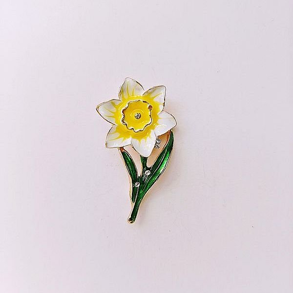 Narciso
